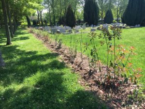 haies biodiversité cimetière Pantin