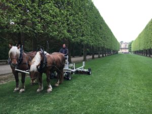 tonte hippomobile robert paysage